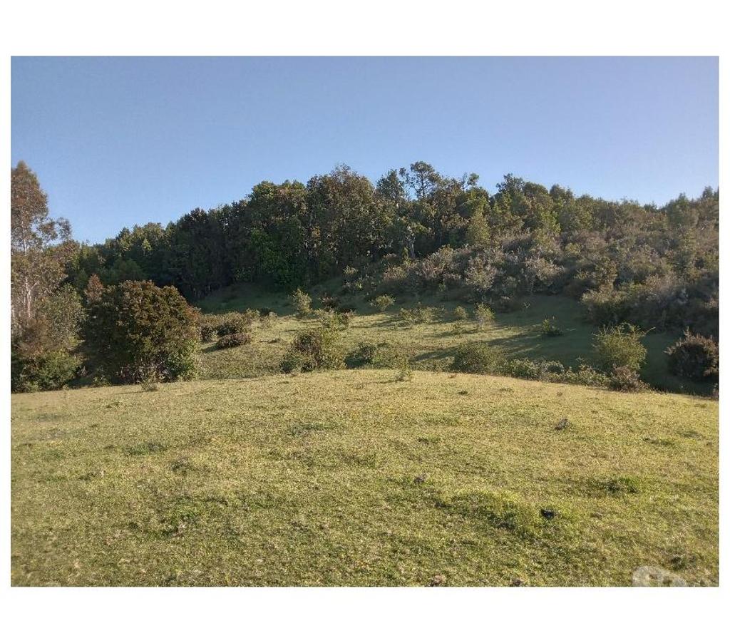 Parcelas en Venta Llanquihue Los Muermos - Fotos de VENDO PÁRCELA SECTOR LOS MUERMOS