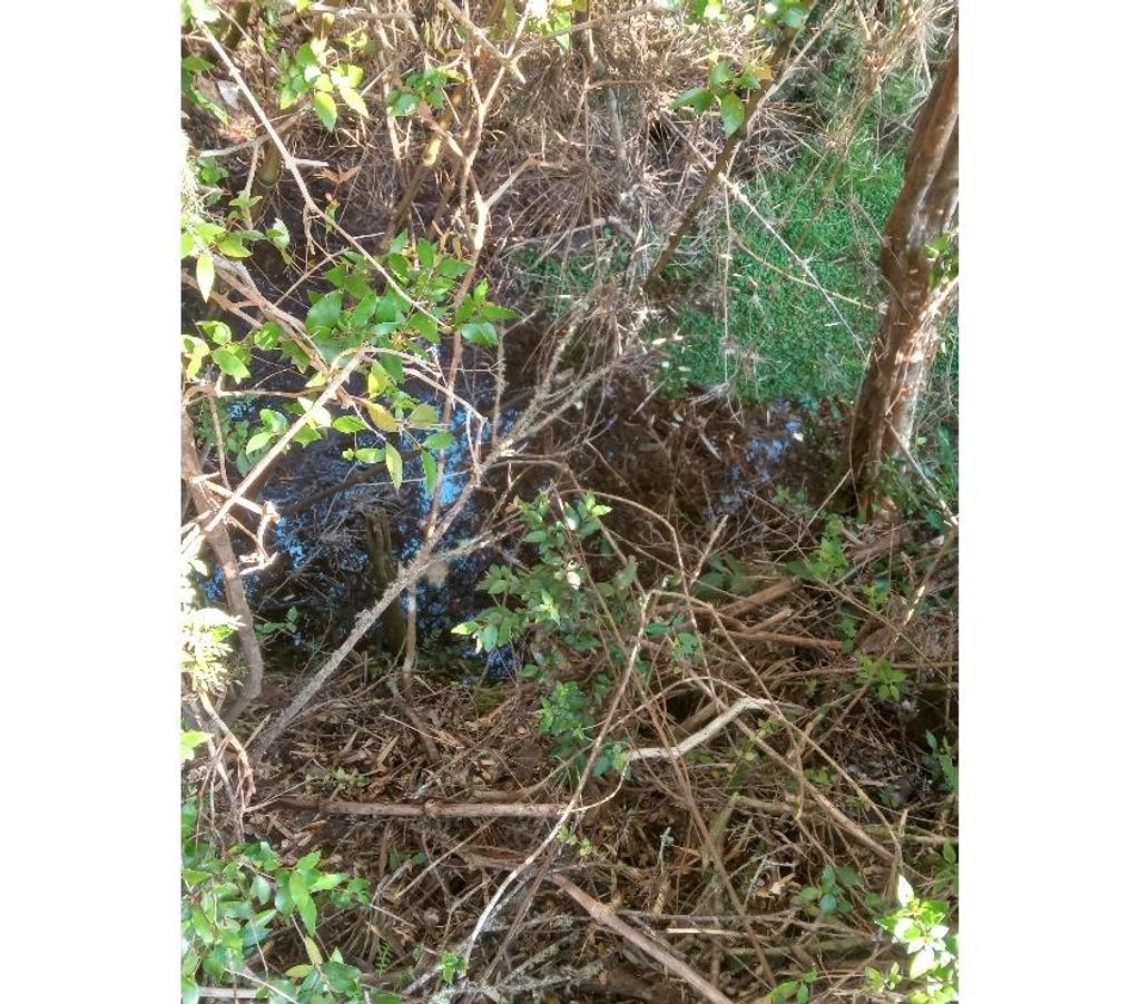 Parcelas en Venta Llanquihue Los Muermos - Fotos de VENDO PÁRCELA SECTOR LOS MUERMOS