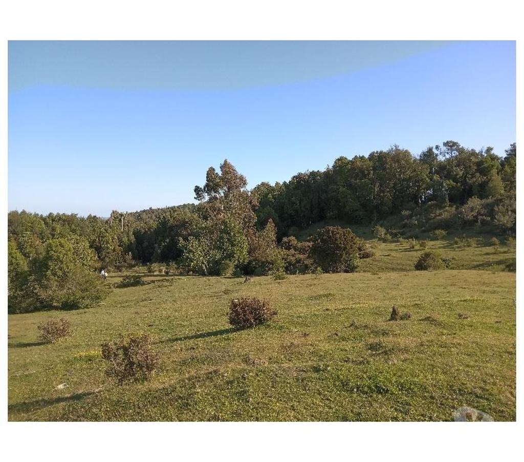 Parcelas en Venta Llanquihue Los Muermos - Fotos de VENDO PÁRCELA SECTOR LOS MUERMOS