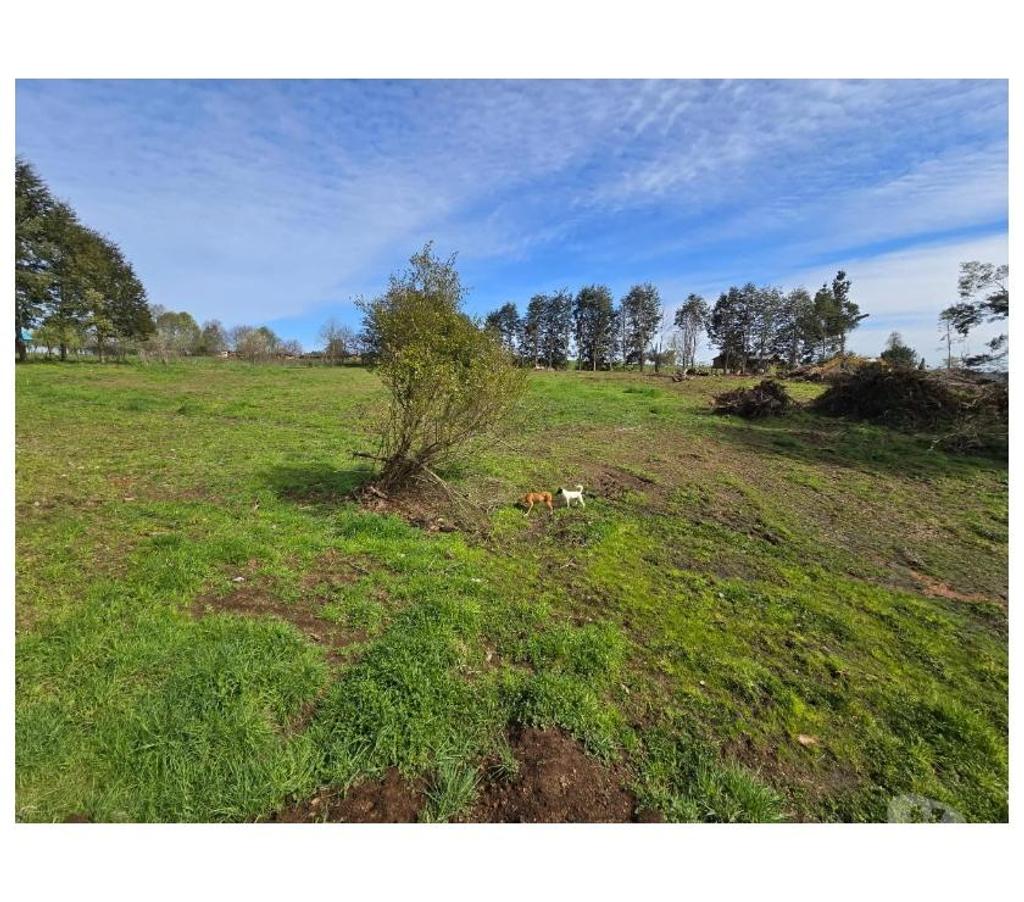 Parcelas en Venta Osorno Osorno - Fotos de PARCELA LOTEO LOS ROBLES DE PILAUCO EN OSORNO