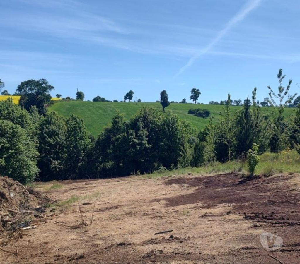 Parcelas en Venta Malleco Victoria - Fotos de Se venden Parcelas de 5.000 M2, con rol