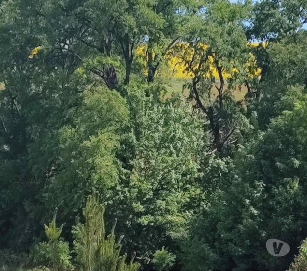 Parcelas en Venta Malleco Victoria - Fotos de Se venden Parcelas de 5.000 M2, con rol