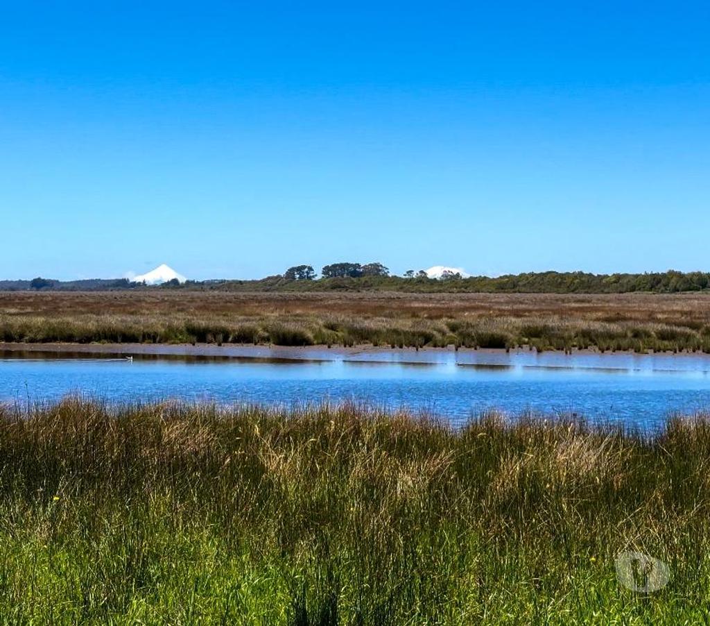Parcelas en Venta Llanquihue Maullí - Fotos de Macrolotes frente al mar en Loteo Mar Brava