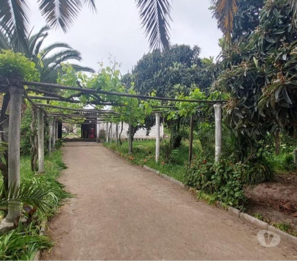 Bienes Raices Maipo Paine - Fotos de Propiedad urbana Paine centro.