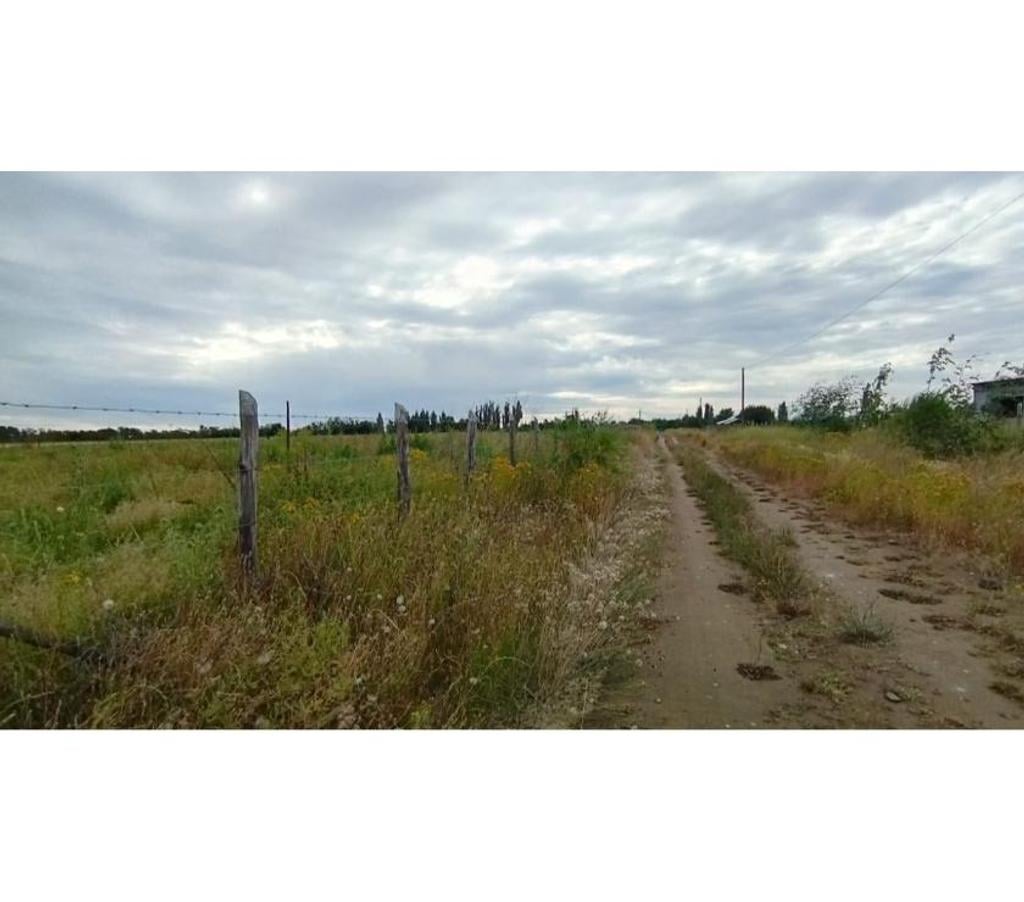 Parcelas en Venta Ñuble Pinto - Fotos de VENDO PARCELA CAMINO A PINTO