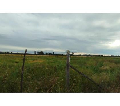Terrenos Pinto Ñuble - Fotos de VENDO PARCELA CAMINO A PINTO