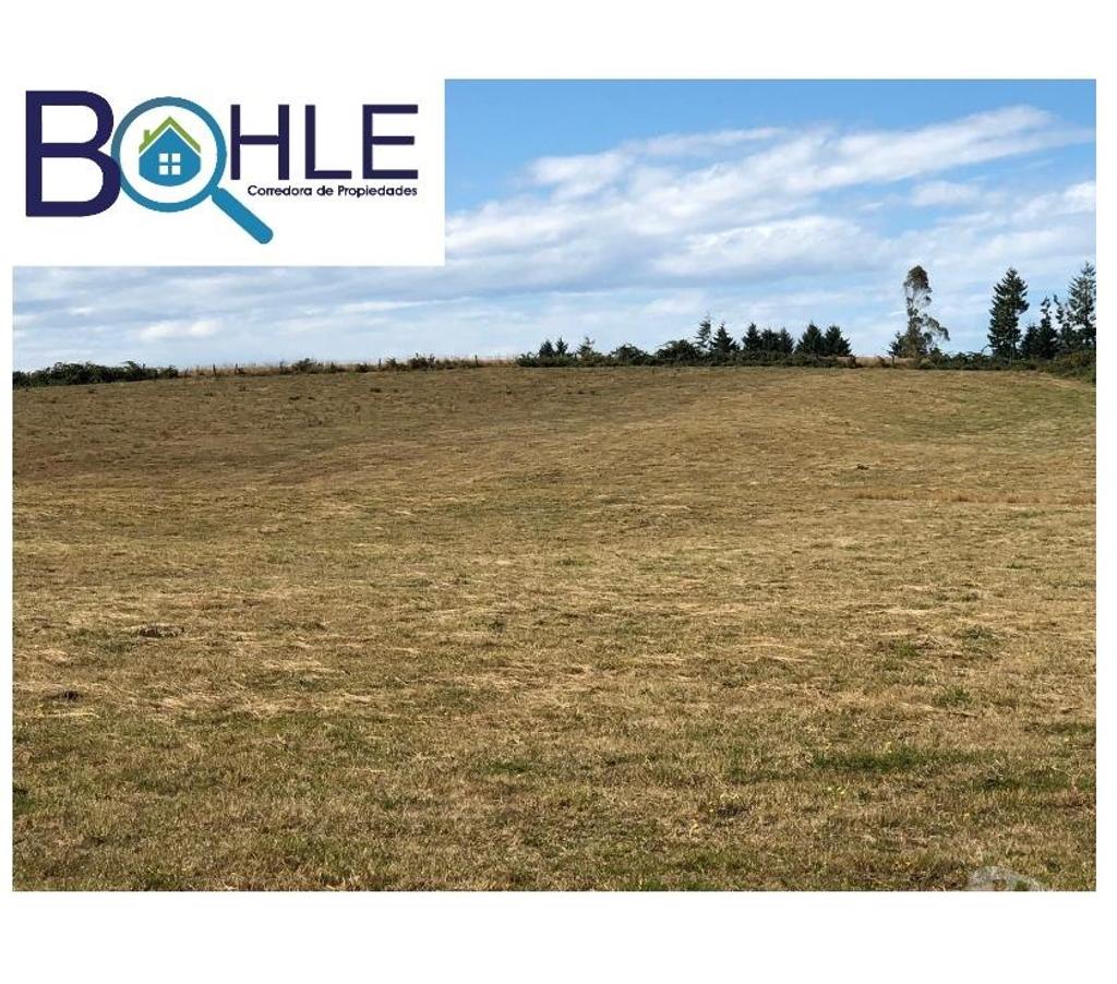 Venta de Haciendas Llanquihue Fresia - Fotos de CAMPO DE 205 Há – EN FRESIA