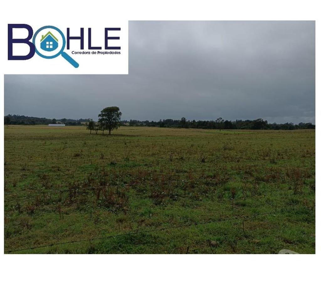 Venta de Haciendas Llanquihue Fresia - Fotos de CAMPO DE 205 Há – EN FRESIA