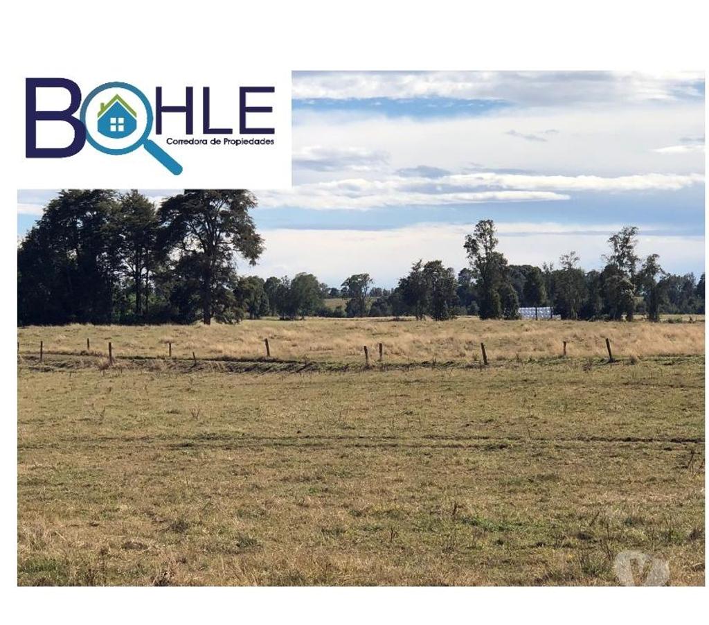 Venta de Haciendas Llanquihue Fresia - Fotos de CAMPO DE 205 Há – EN FRESIA
