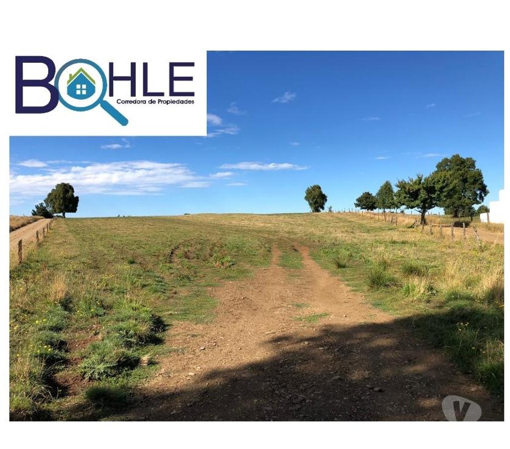 Venta de Haciendas Llanquihue Fresia - Fotos de CAMPO DE 205 Há – EN FRESIA