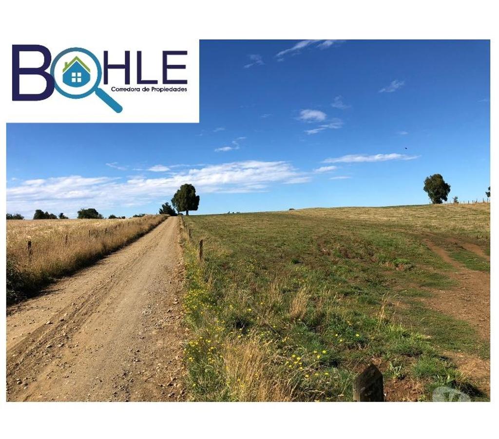 Venta de Haciendas Llanquihue Fresia - Fotos de CAMPO DE 205 Há – EN FRESIA