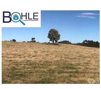 Campos en Venta Fresia Llanquihue - Fotos de CAMPO DE 205 Há – EN FRESIA