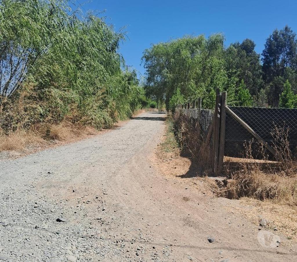 Parcelas en Venta Linares Linares - Fotos de Parcela 5.000m2. Los Leones. Lado Ruta 5 Sur