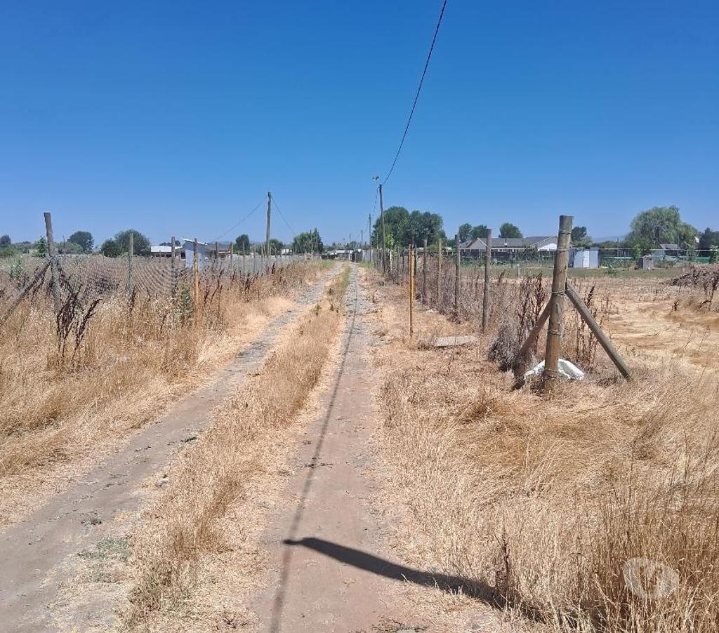 Parcelas en Venta Linares Linares - Fotos de Parcela 5.000m2. Los Leones. Lado Ruta 5 Sur