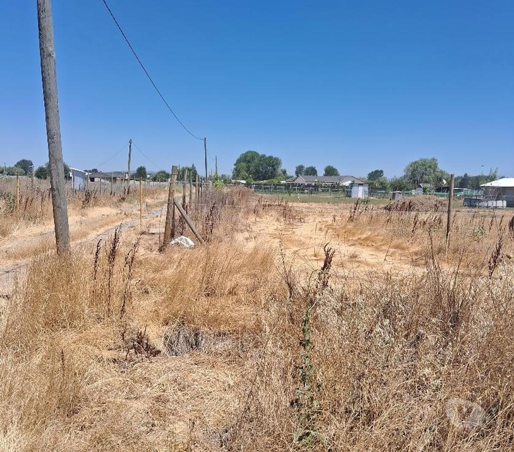 Parcelas en Venta Linares Linares - Fotos de Parcela 5.000m2. Los Leones. Lado Ruta 5 Sur