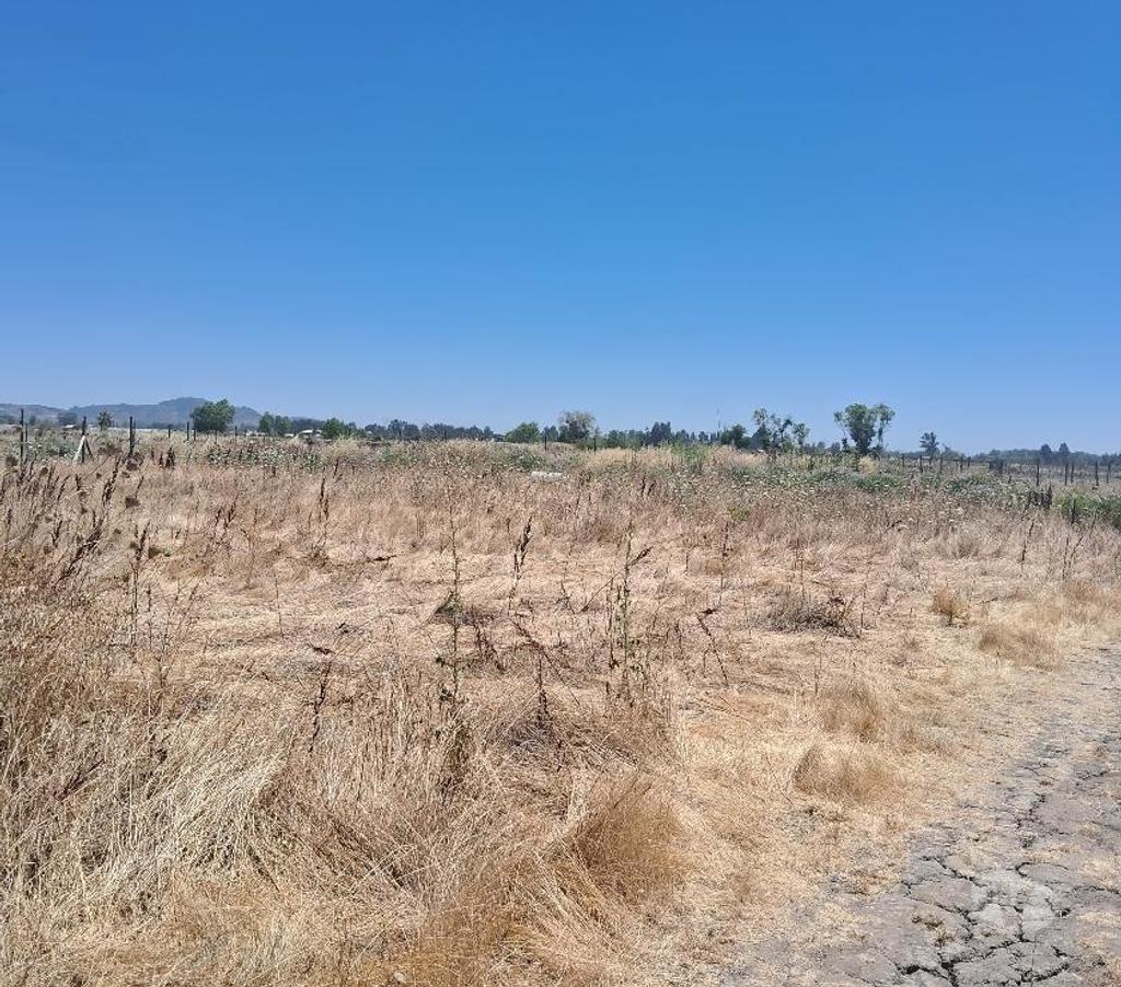 Parcelas en Venta Linares Linares - Fotos de Parcela 5.000m2. Los Leones. Lado Ruta 5 Sur