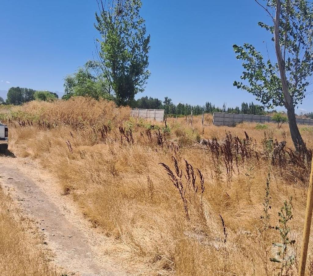 Parcelas en Venta Linares Linares - Fotos de Parcela 5.000m2. Los Leones. Lado Ruta 5 Sur