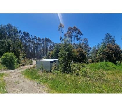 Terrenos Puerto Montt Llanquihue - Fotos de Vende parcela de 6250m2 en parcelación, Pto Montt