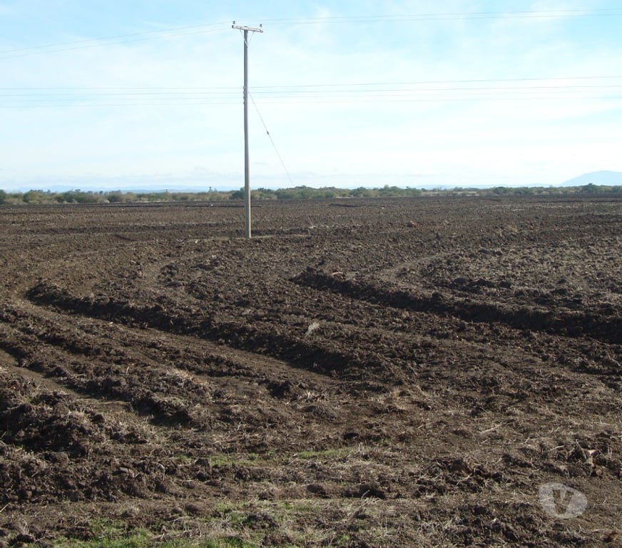 Venta de Haciendas Ñuble San Carlos - Fotos de VENDO 950 HAS PLANAS DE RIEGO