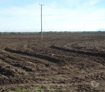 Campos en Venta San Carlos Ñuble - Fotos de VENDO 950 HAS PLANAS DE RIEGO