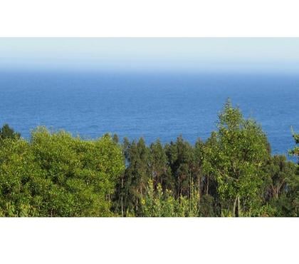 Terrenos en Venta Cobquecura Ñuble - Fotos de COSTA NATIVA, PULLAY