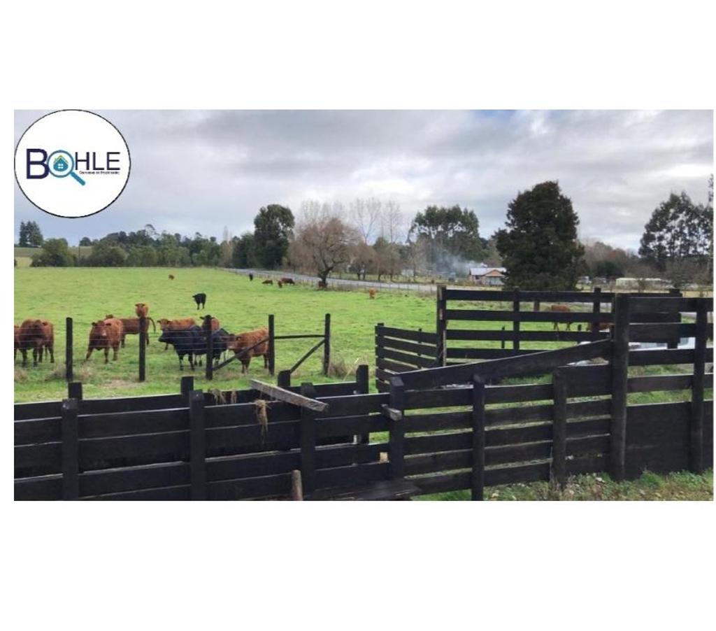 Parcelas en Venta Llanquihue Los Muermos - Fotos de VENDO – Propiedad en los Muermos