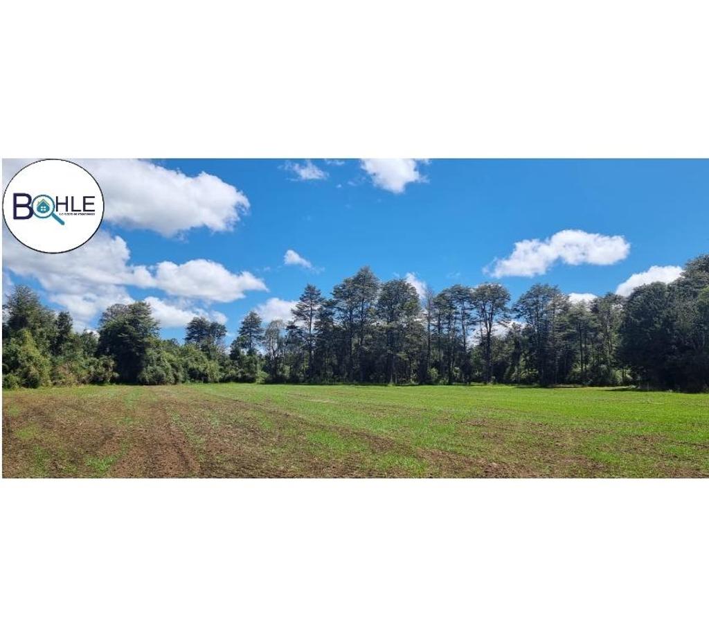 Parcelas en Venta Llanquihue Los Muermos - Fotos de VENDO – Propiedad en los Muermos