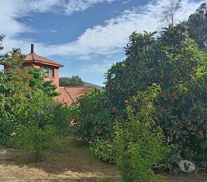 Casas en venta Curacav Melipilla - Fotos de Casa en venta Los Canelos Curacavi