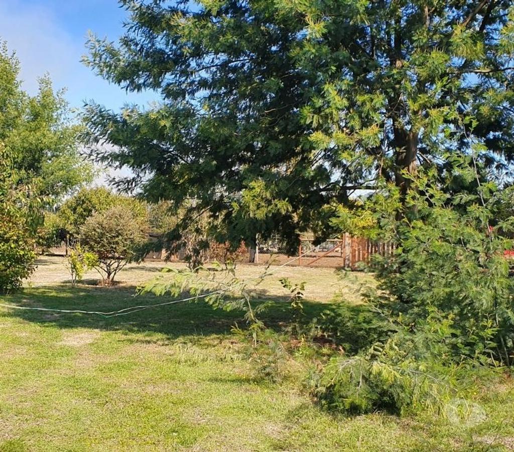 Bienes Raices Cautín Freire - Fotos de Hermosa parcela con casa, cabaña y restaurant.