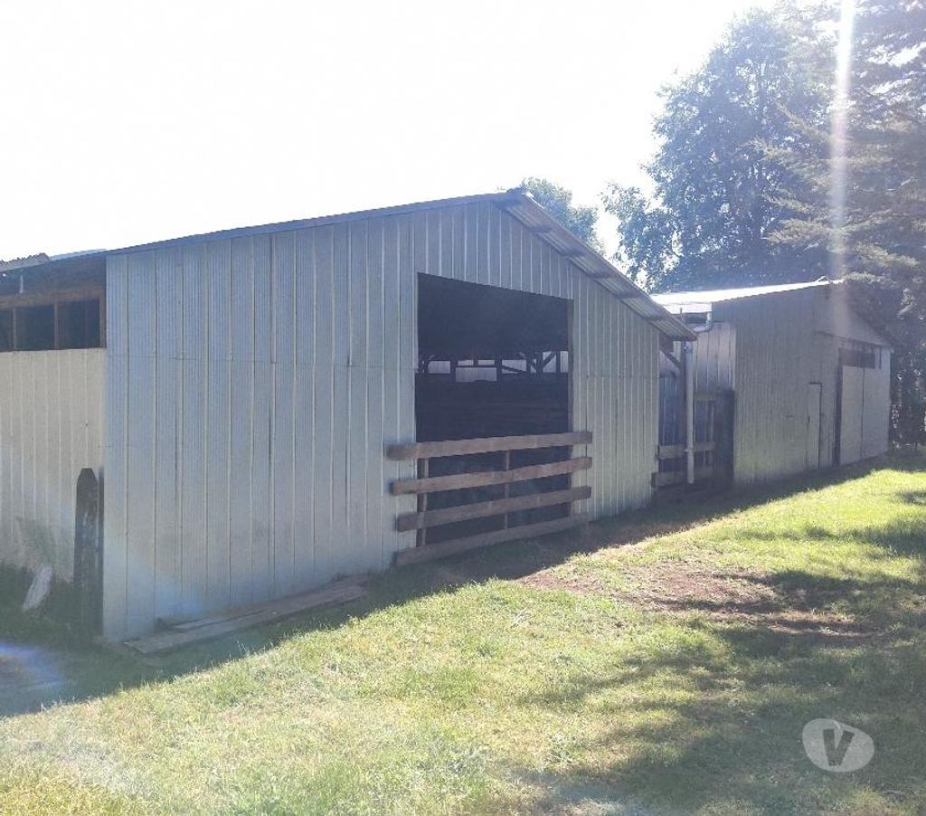 Parcelas en Venta Malleco Victoria - Fotos de Se vende terreno Agrícola con casa y Bodega
