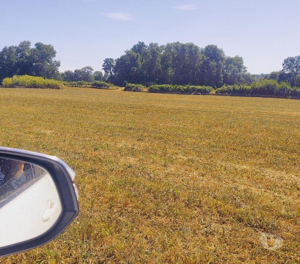 Parcelas en Venta Malleco Victoria - Fotos de Se vende terreno Agrícola con casa y Bodega