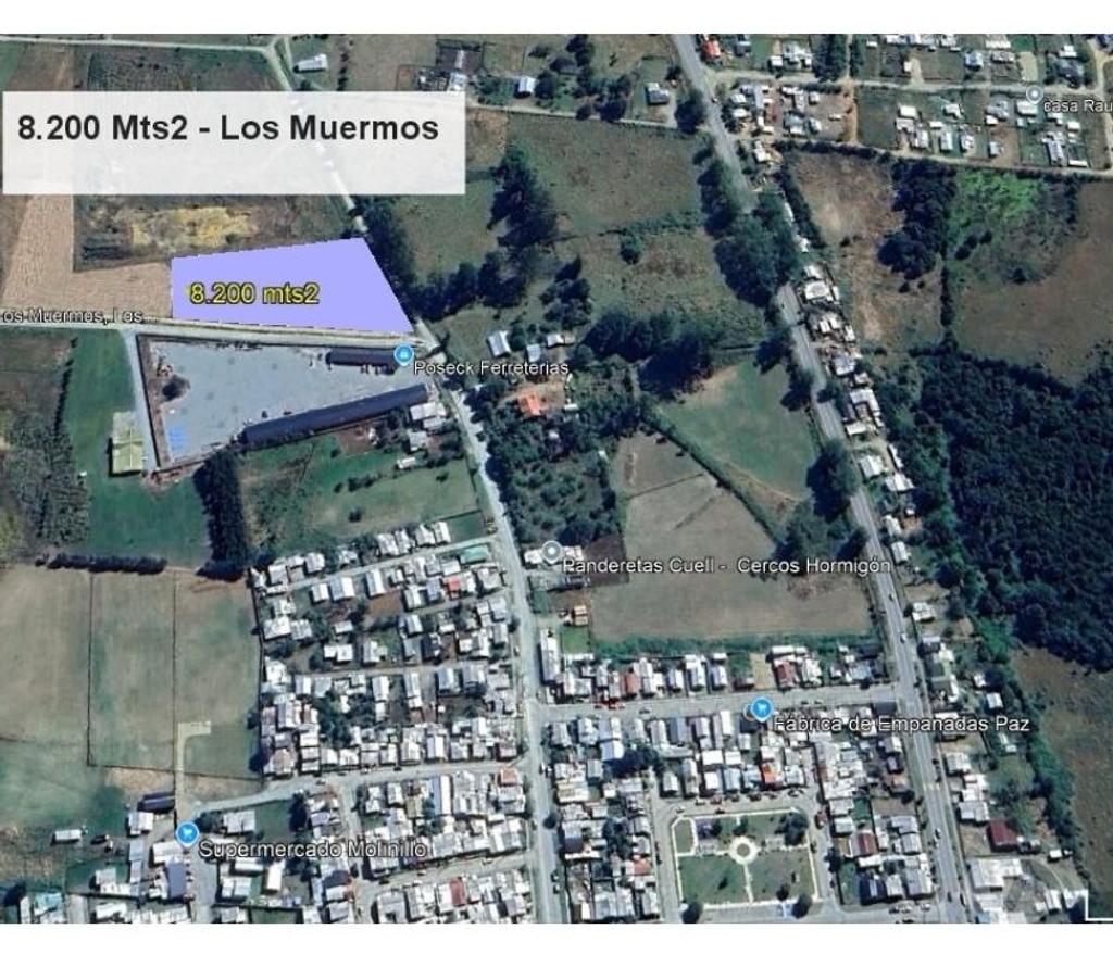 Parcelas en Venta Llanquihue Los Muermos - Fotos de Terreno 8.200 mts2 en Los Muermos
