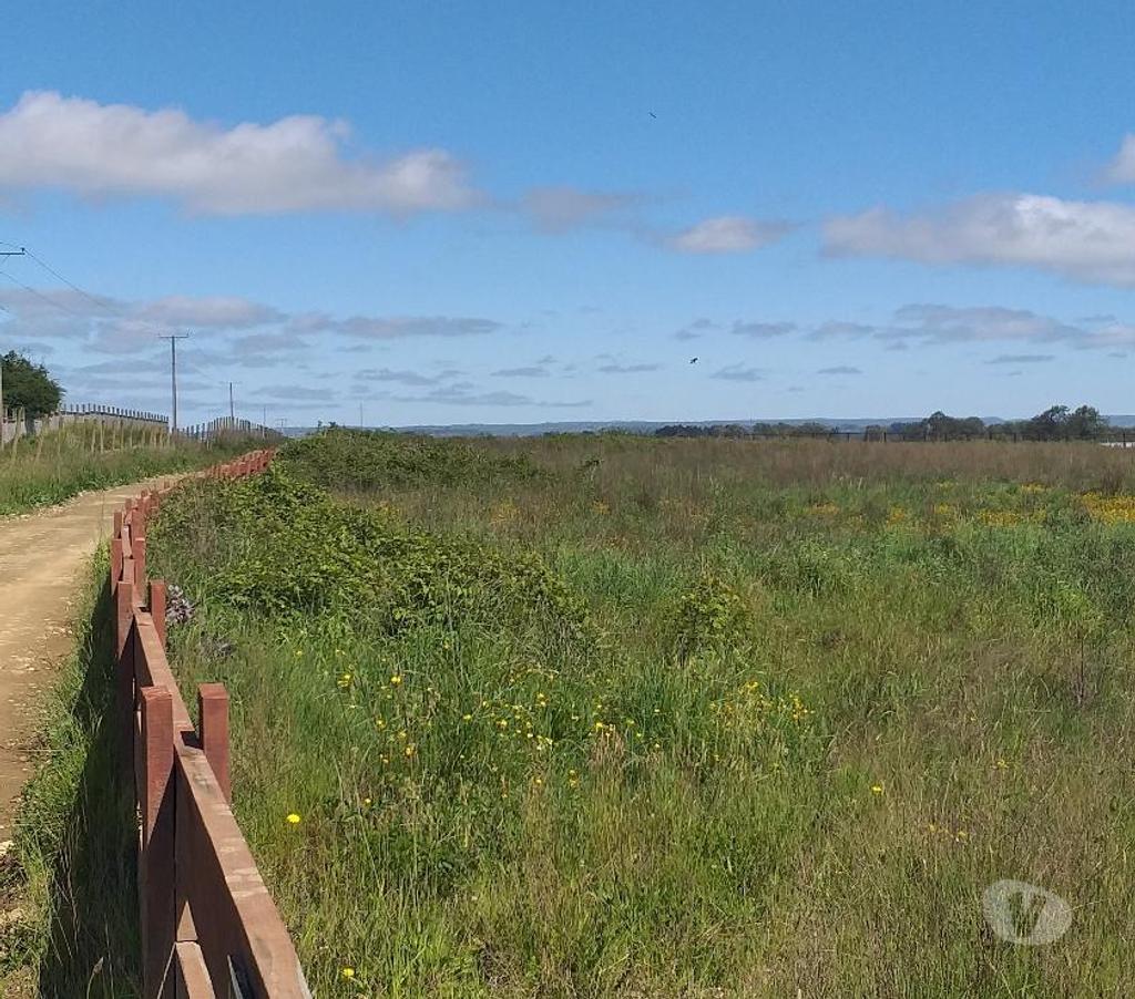 Parcelas en Venta Llanquihue Los Muermos - Fotos de Terreno 8.200 mts2 en Los Muermos