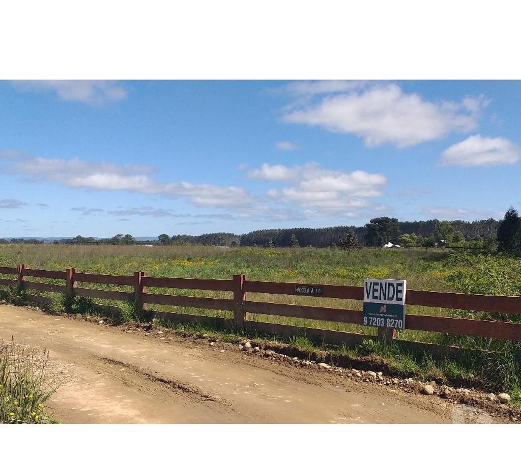 Parcelas en Venta Llanquihue Los Muermos - Fotos de Terreno 8.200 mts2 en Los Muermos