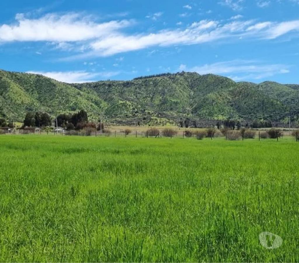 Parcelas en Venta Colchagua Santa Cruz - Fotos de Vendo Parcela en Santa Cruz apta para negocio