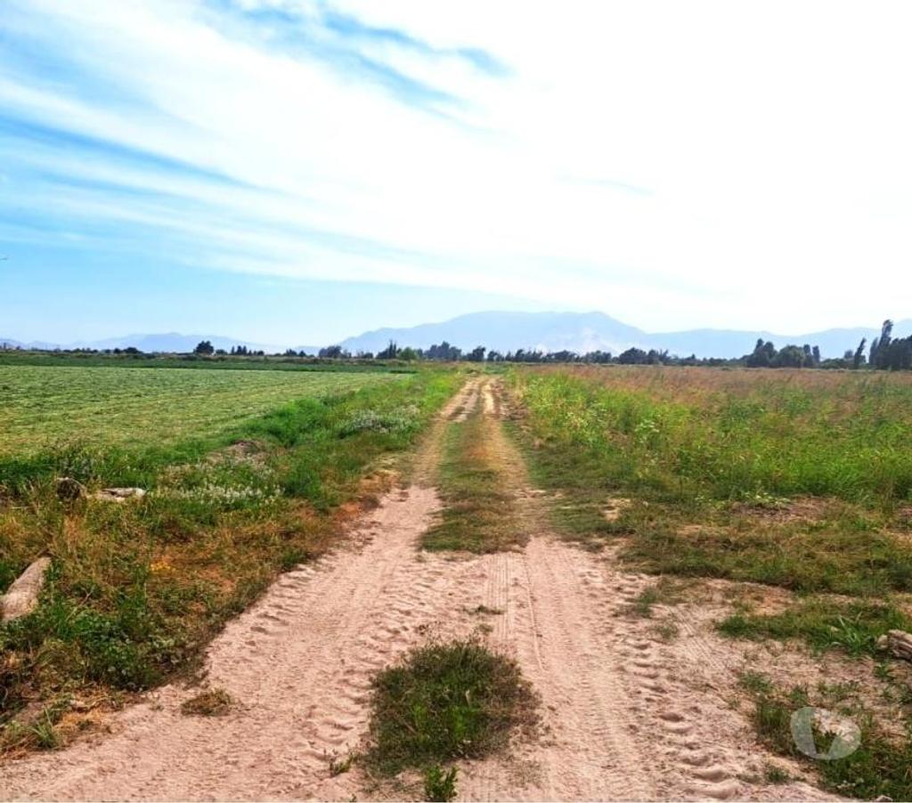 Venta de Haciendas Chacabuco Lampa - Fotos de Excelente Campo Extensión Urbana de 14 hás en Lampa