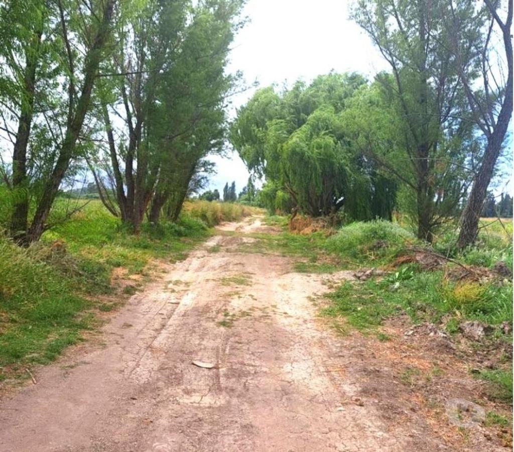 Venta de Haciendas Chacabuco Lampa - Fotos de Excelente Campo Extensión Urbana de 14 hás en Lampa