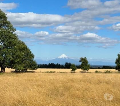 Venta de Fundos Purranque Osorno - Fotos de Campo en Purranque con impresionante vista
