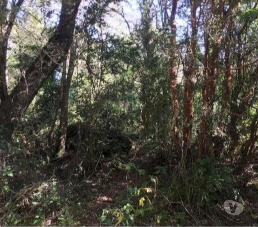 Parcelas en Venta Cautín Villarrica - Fotos de Parcelas en Ribera Norte del Lago Villarrica 2 hectáreas