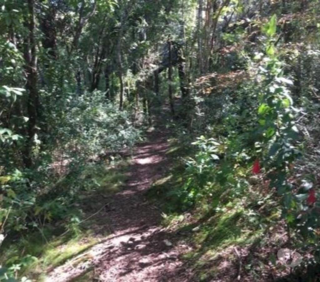 Parcelas en Venta Cautín Villarrica - Fotos de Parcelas en Ribera Norte del Lago Villarrica 2 hectáreas