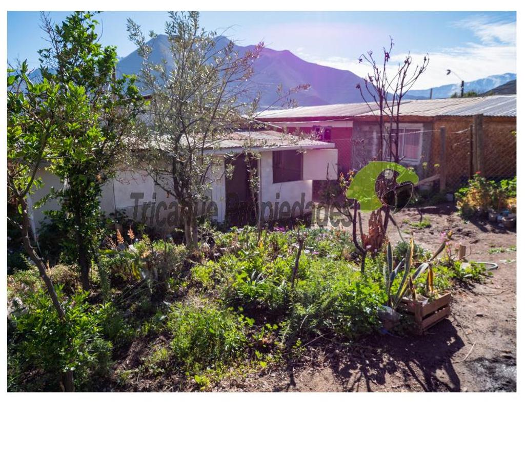 Bienes Raices Elqui Vicuña - Fotos de Venta de casa en Villaseca Terreno 200 m2, Valle del Elqui
