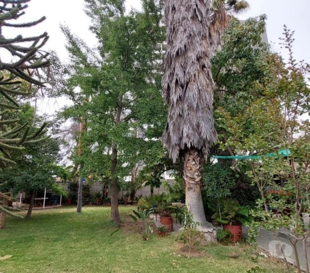 Bienes Raices Maipo San Bernardo - Fotos de San Bernardo centro, excelente paño urbano.