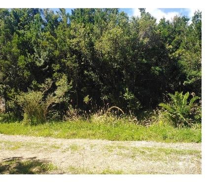 Parcelas en Venta Puerto Montt Llanquihue - Fotos de Terreno en Venta – 250m de la Playa, Entorno Natural