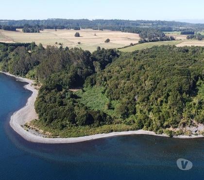Fundos en Venta Puerto Octay Osorno - Fotos de 28 hectáreas, Lago Llanquihue.