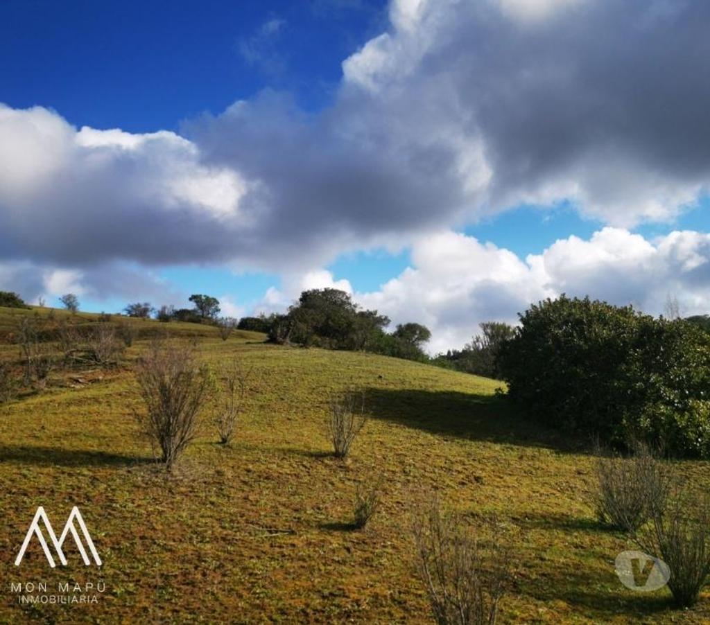 Parcelas en Venta Cardenal Caro Litueche - Fotos de Parcelas a 25 minutos de Matanzas