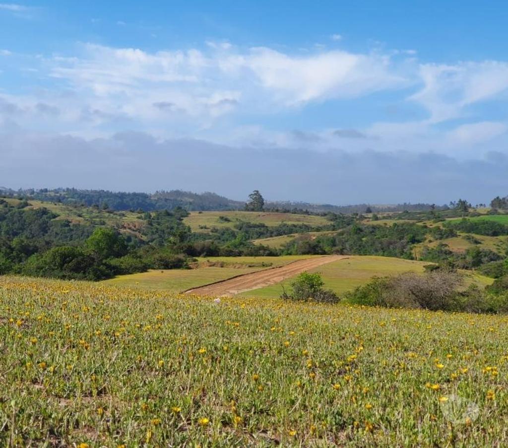 Parcelas en Venta Cardenal Caro Litueche - Fotos de Parcelas a 25 minutos de Matanzas