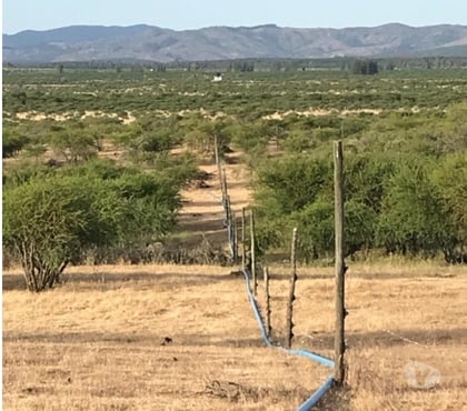 Campos en Venta San Javier Linares - Fotos de VENDO 100, 200, 300, 400, 500 o 600 HECTÁREAS DE RULO