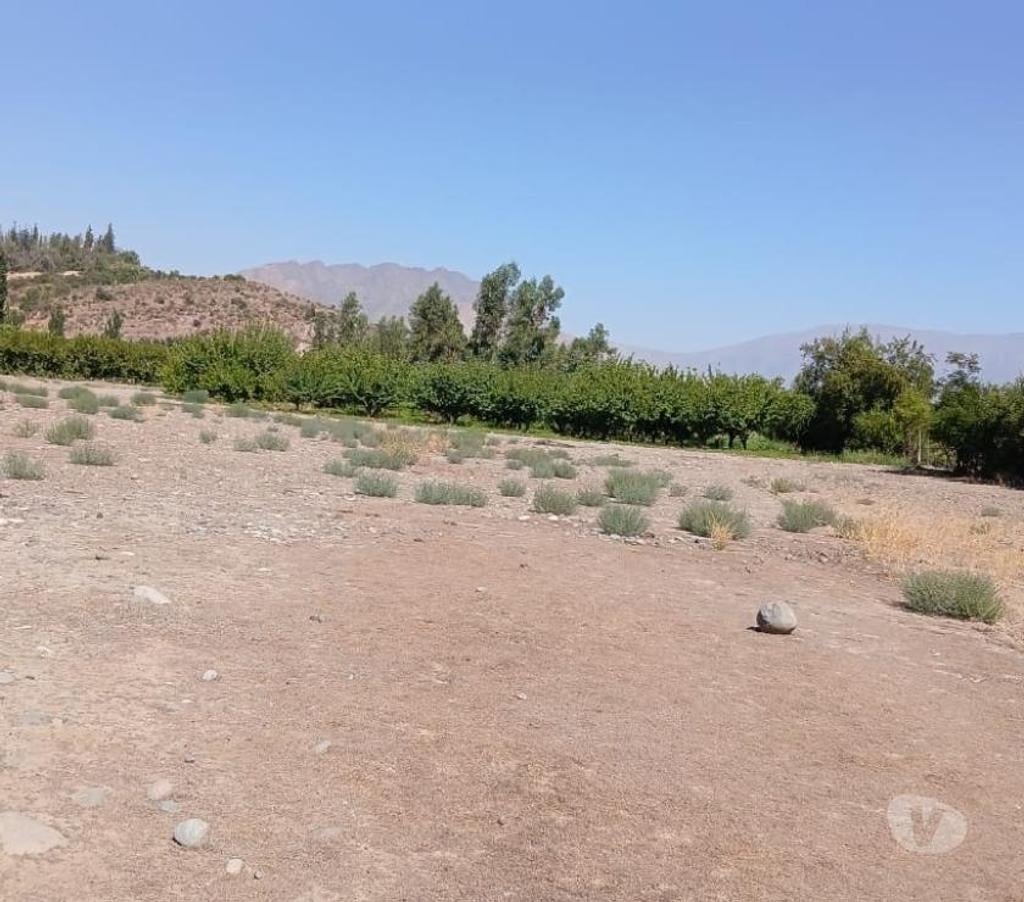 Parcelas en Venta San Felipe de Aconcagua San Felipe - Fotos de OJO 6,4 HÁ 1200 DURAZNOS 700 NOGALES VENTA DIRECTA CURIMON