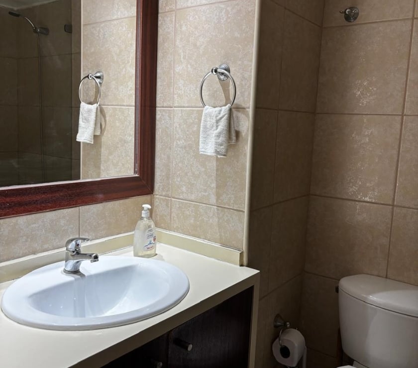 Casas amobladas Santiago Santiago - Fotos de Dpto Totalmente Amoblado espectacular juvenil centrico 2 per