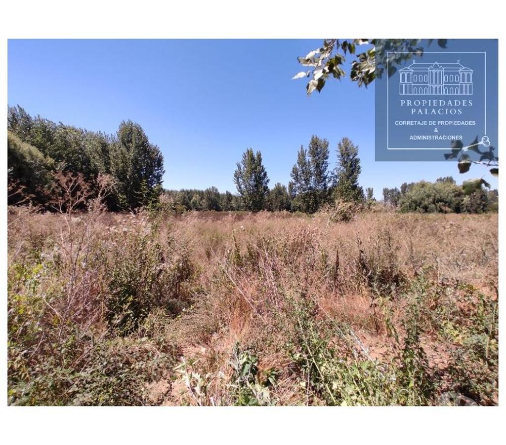 Parcelas en Venta Cachapoal Coltauco - Fotos de Terreno 1 ha, entorno natural y tranquilo